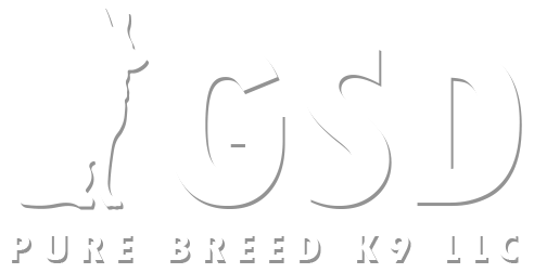 german shepherd breeder minnesota