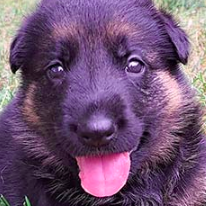 CleanShot 2026-01-07 at 14.16.42